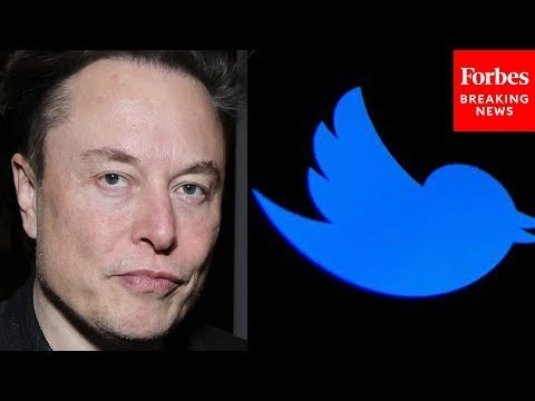 Twitter Engineer Fired Publicly By Elon Musk Speaks Out