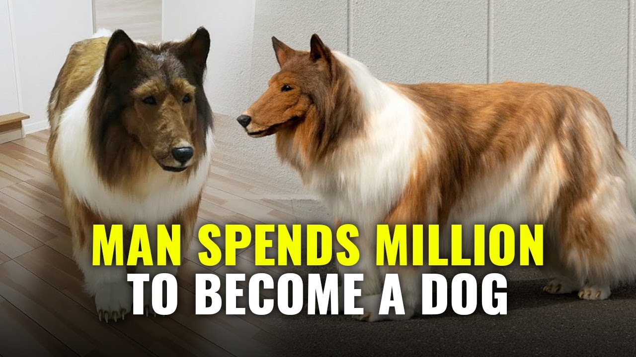 Japanese Man Spends Million To Look Like A Dog |