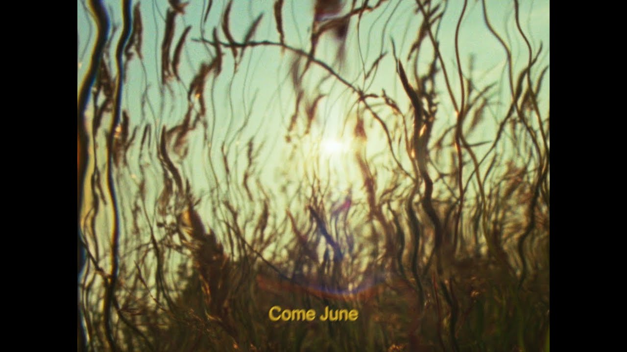 Mitch Rowland - Come June (Official Visualizer)