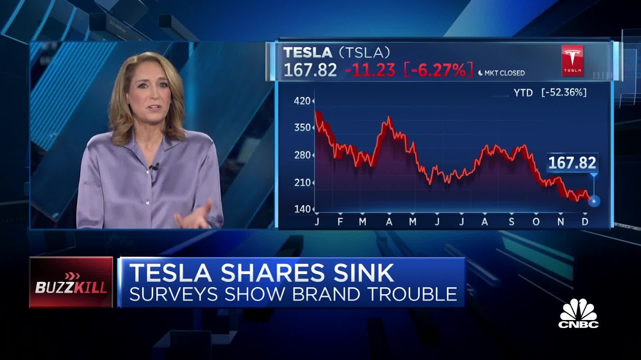 This leg down in Tesla stock is pretty much on Elon, says FM trader Karen Finerman