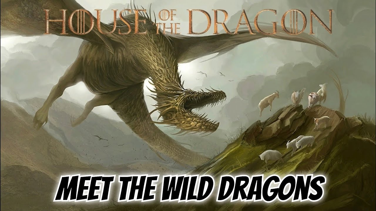 The Wild Dragons of Dragonstone Explained || House of the Dragon