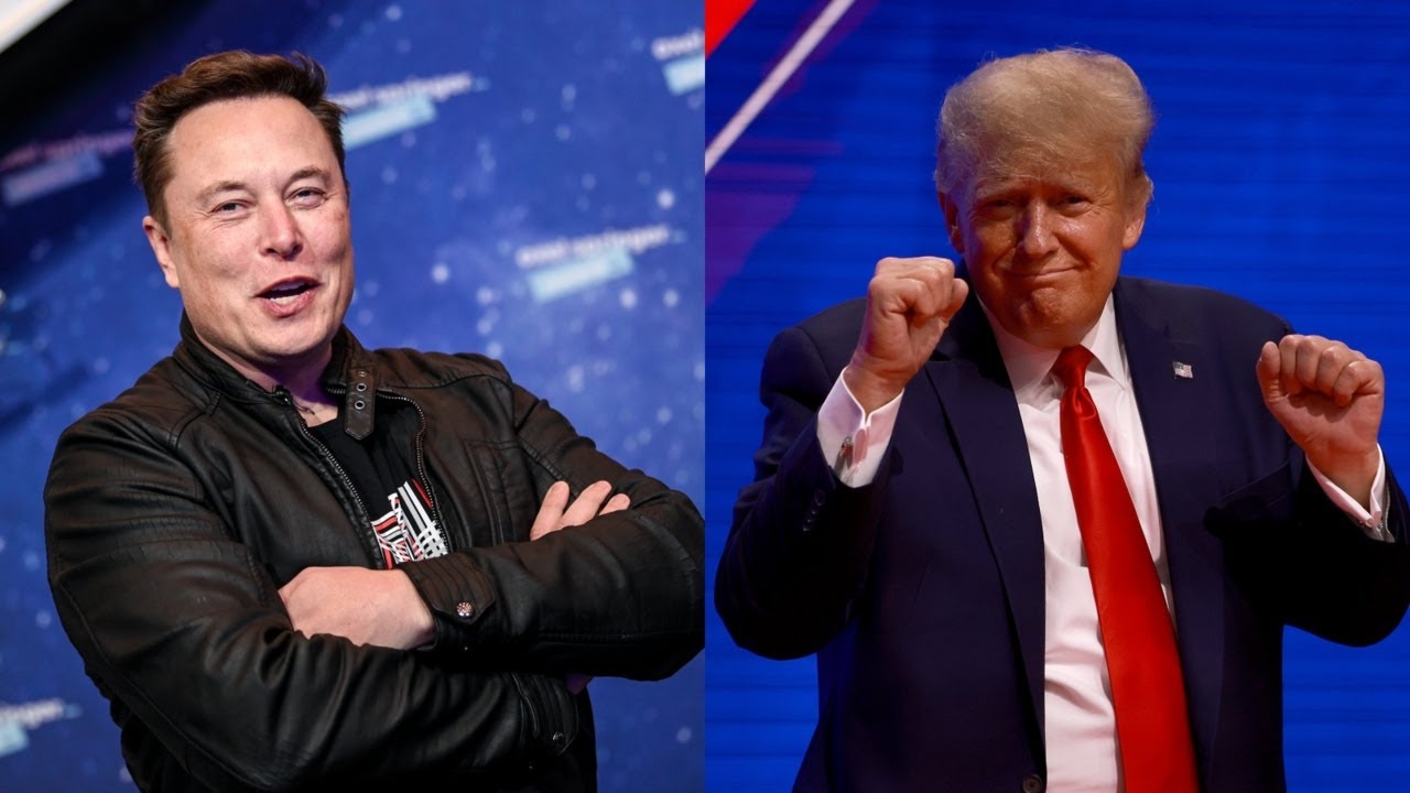 Elon Musk comments on Donald Trump returning to Twitter