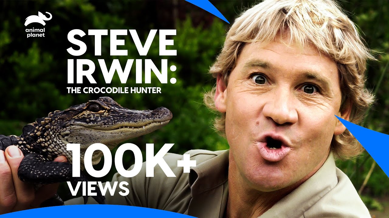 The Best of Steve Irwin - The Crocodile Hunter🐊 | Best Moments | Animal Planet