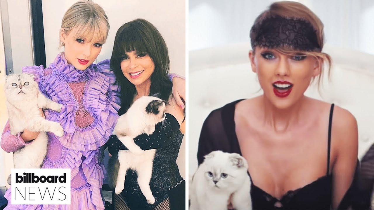Taylor Swift’s Cat Olivia Benson Is Reportedly Worth $97 Million | Billboard News