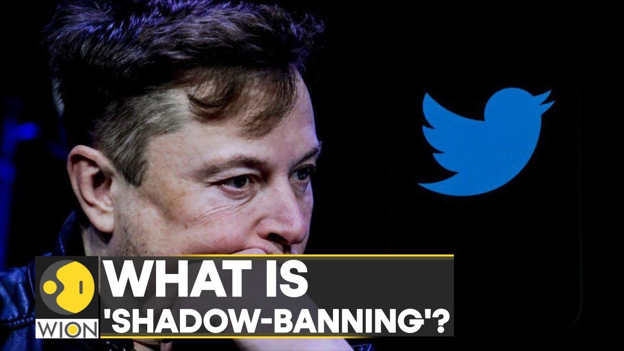 Explained: What is Twitter 'Shadow-Banning'? | International News | Top News | English News | WION