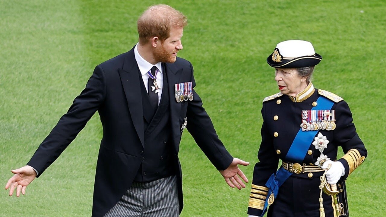 Princess Anne among Prince Harry’s ‘only allies left’