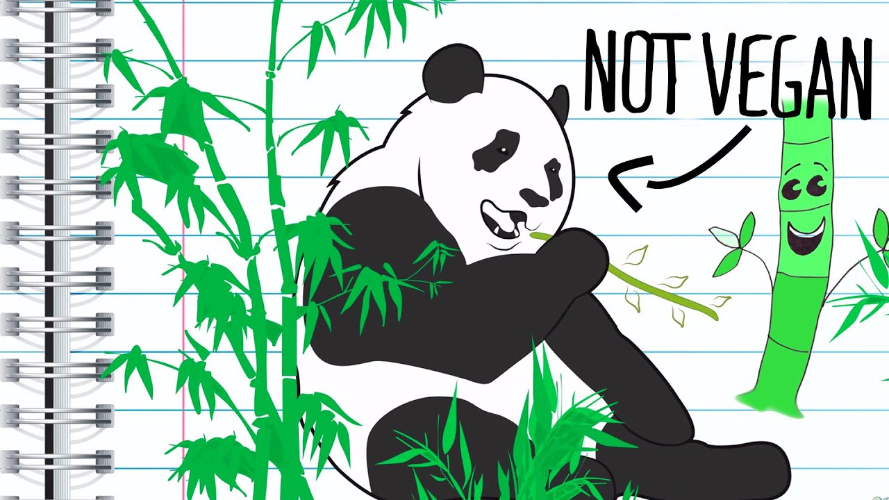 Why did Pandas go Vegetarian?