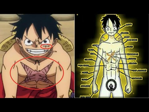 HOW DID MONKEY D LUFFY GET HIS SCARS