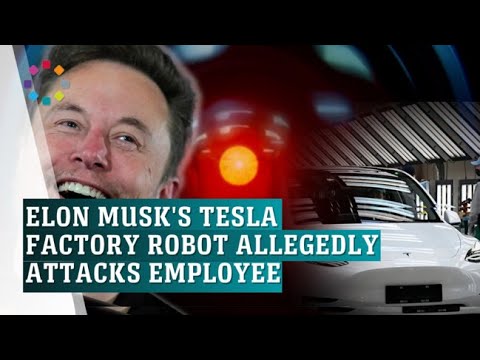 Elon Musk's robot reportedly attacks worker at Tesla factory