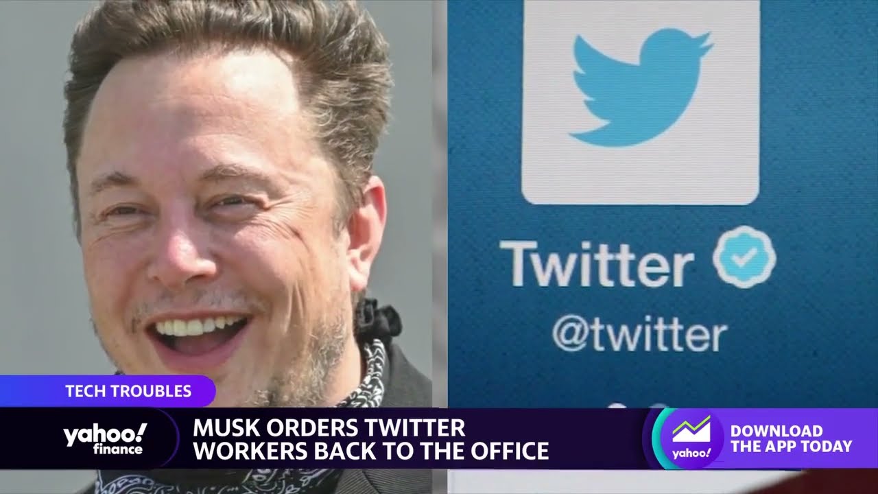 Elon Musk orders Twitter workers back to the office