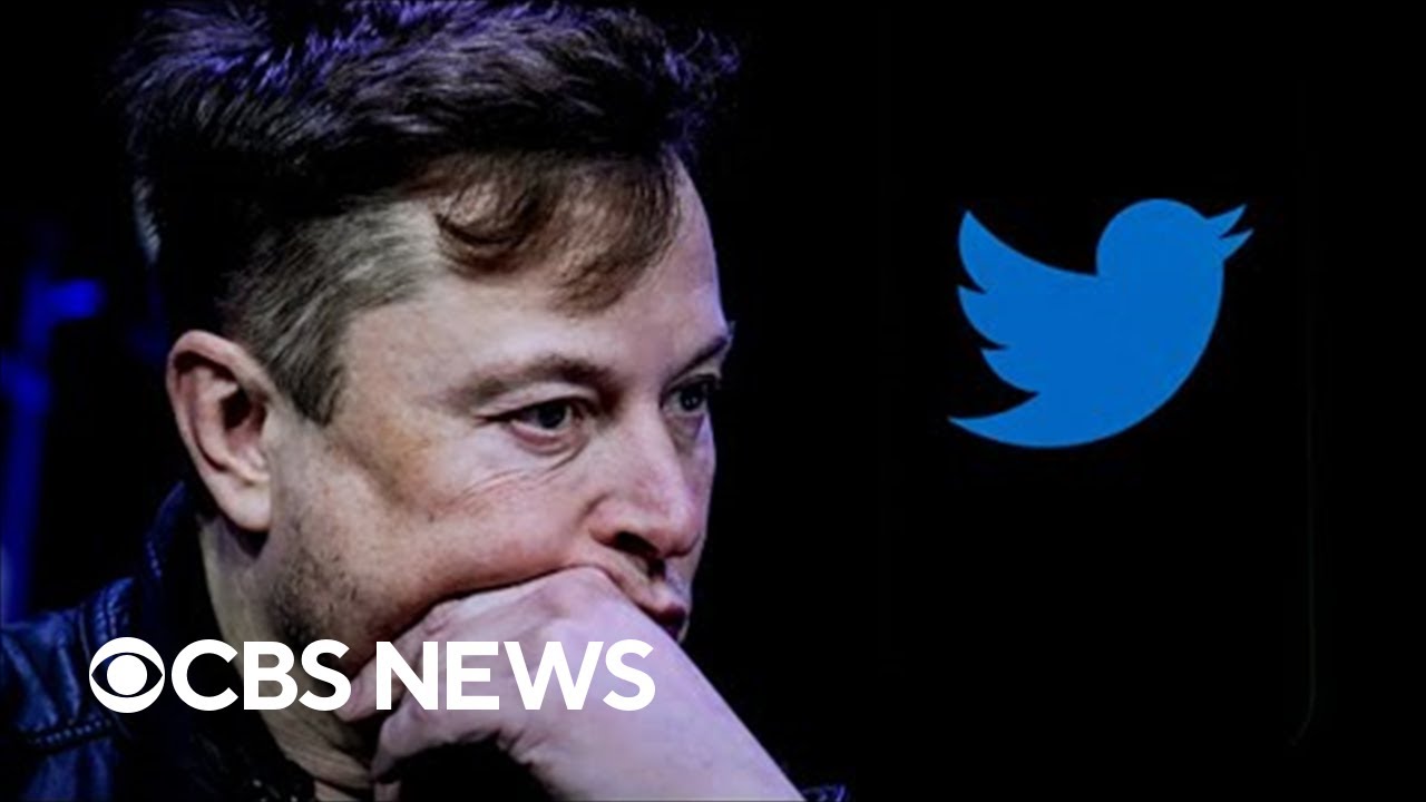 Elon Musk's second week of Twitter ownership proves as chaotic as his first