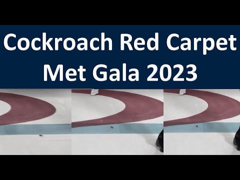 Cockroach Met Gala 2023 | Cockroach Red Carpet Met Gala 2023 | Cockroach on Stairs Met Gala 2023