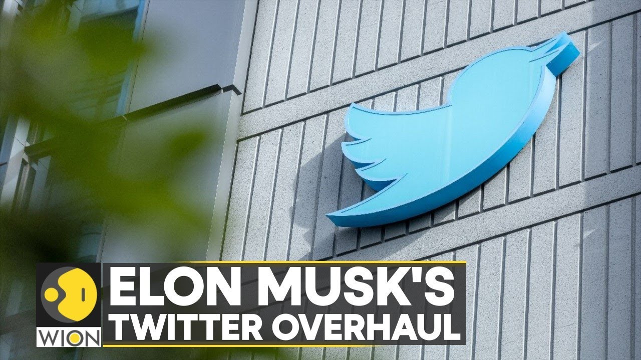 Elon Musk's Twitter overhaul: Report says dozens who were laid off asked to return | WION