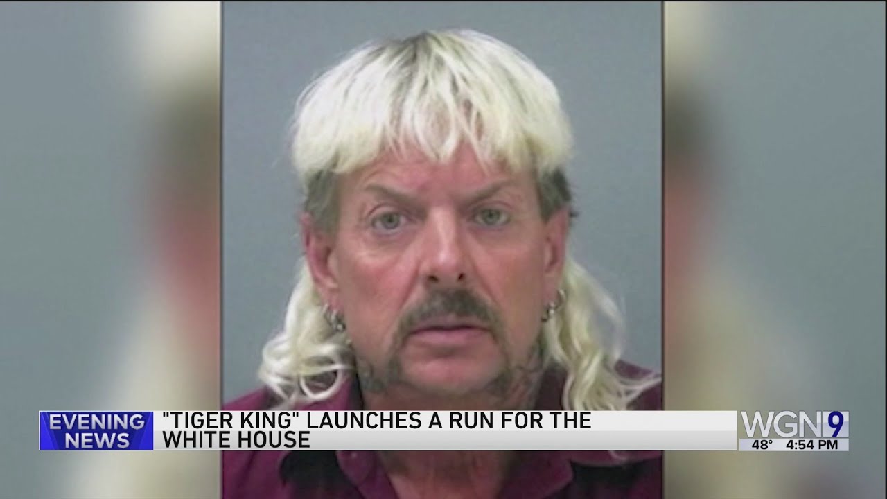 'Tiger King' announces 2024 presidential bid