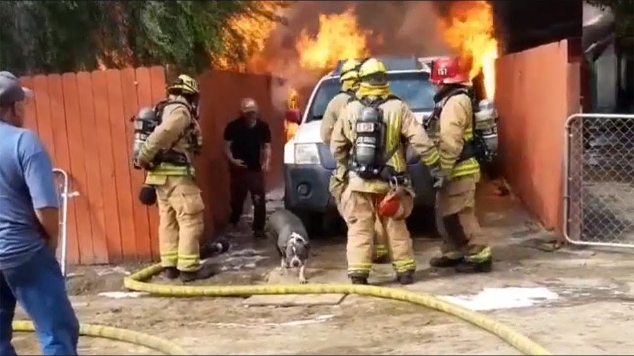 Man runs into burning home to save his dog I ABC7