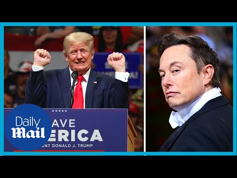 Donald Trump calls Elon Musk a 'bulls*** artist' at Alaska rally