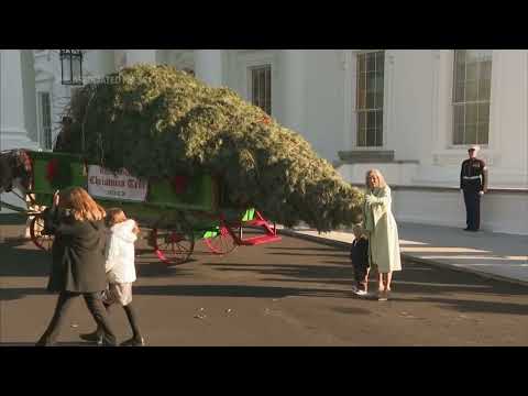 First Lady welcomes White House Christmas tree