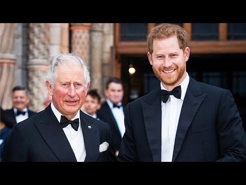 Prince Harry's Birthday Phone Call to King Charles Could Be 'Turning Point' in Royal Rift
