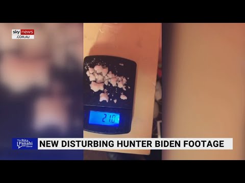 'Too obscene to describe': More of Hunter Biden's 'antics' come to light