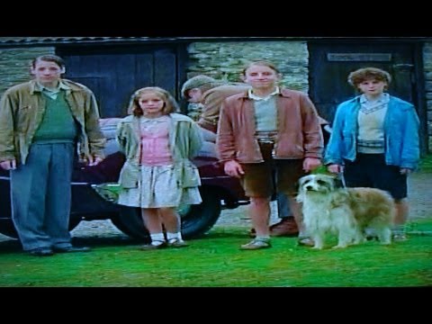 Famous Five Get into a Fix