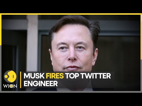 Reports: Twitter CEO Elon Musk fires principal engineer | Latest World News | English News | WION