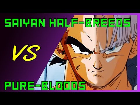 Saiyan half-bloods VS pure bloods | DBZ hybrid theory - The Saiyan biology