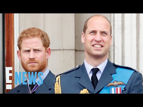 Author on Prince Harry & Prince William Rift: "There's No Going Back" | E! News