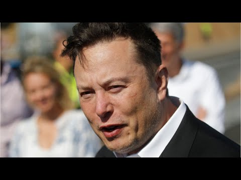 'Total bs': Elon Musk denies affair with Google co-founder Sergey Brin's wife