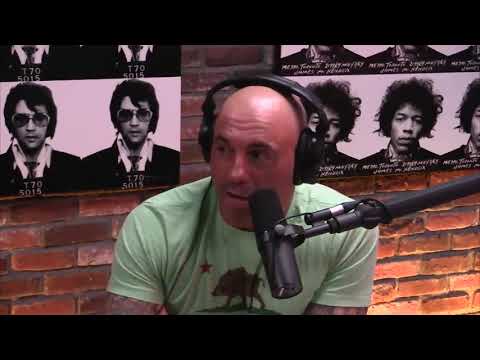 Dan Bilzerian's Oppinion On Marriage