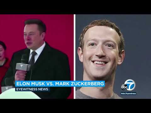 Elon Musk lifting weights to prepare for Zuckerberg fight