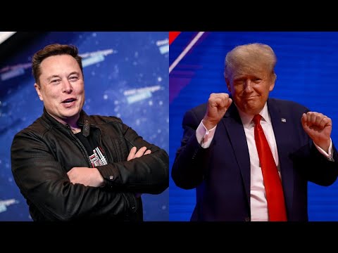 Elon Musk comments on Donald Trump returning to Twitter