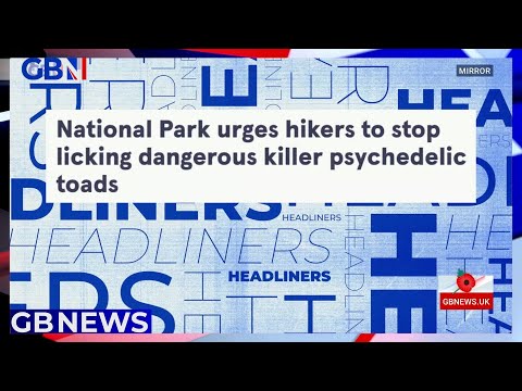 🗞 National Park urges hikers to stop licking dangerous killer psychedelic toads | Headliners