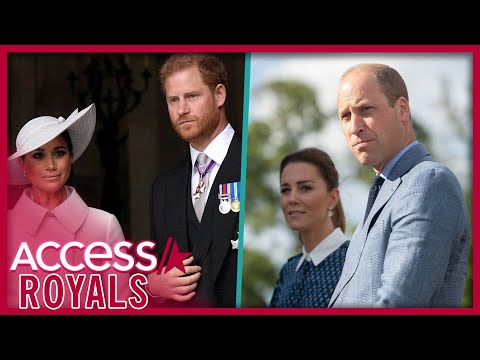 Meghan Markle & Prince Harry & More Royals Speak Out On Israel-Hamas War