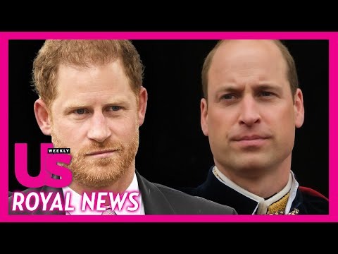 Prince Harry & Prince William Interacted At King Charles Coronation Ceremony?