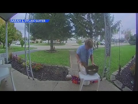 Ryan Reynolds sends video after local boy’s good deed