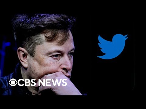Elon Musk's second week of Twitter ownership proves as chaotic as his first