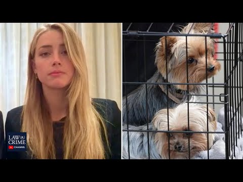 Amber Heard Is Still Being Investigated for Perjury in Australia