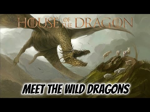 The Wild Dragons of Dragonstone Explained || House of the Dragon