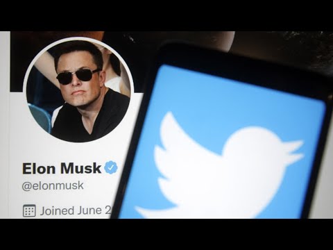 ‘There is a place’ for Elon Musk to reward Content Creators on Twitter
