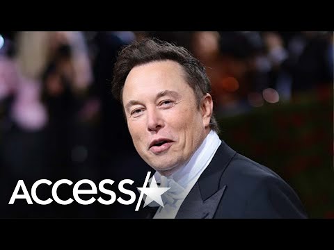 Elon Musk Secretly Had Twins w/ Exec Before Having Baby w/ Grimes (Reports)