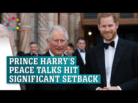 Prince Harry's peace talks face a significant setback