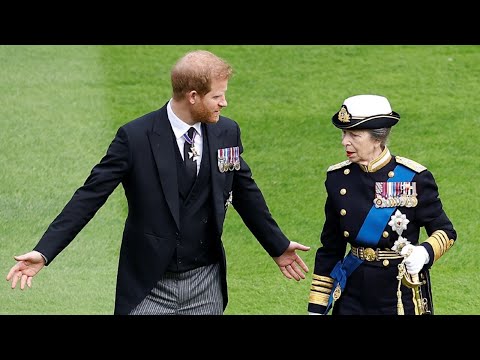 Princess Anne among Prince Harry’s ‘only allies left’