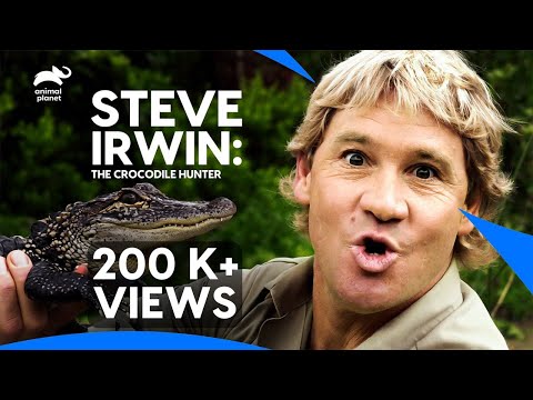 The Best of Steve Irwin - The Crocodile Hunter🐊 | Best Moments | Animal Planet