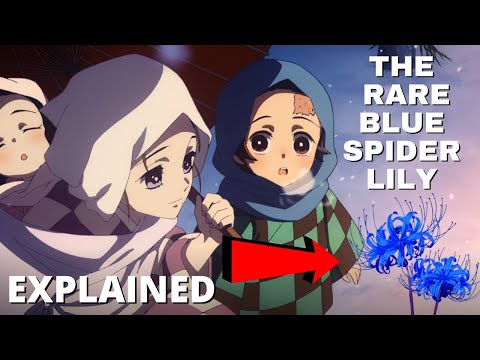 THE RARE BLUE SPIDER LILY EXPLAINED l Demon Slayer Discussion with Alli_Bugg