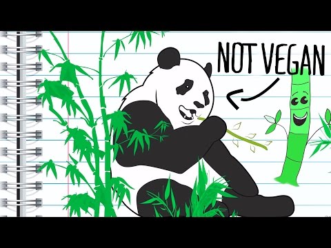 Why did Pandas go Vegetarian?