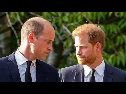 Royal artist reveals Prince Harry’s unkind nature to Prince William