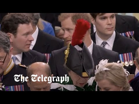 Prince Harry's view of Coronation 'obscured' by Princess Anne's huge feather
