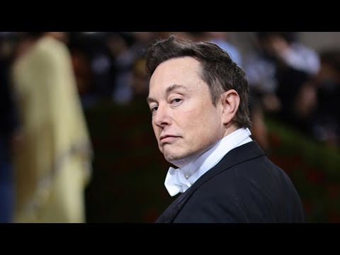 Elon Musk meets with Italian Prime Minister Giorgia Meloni