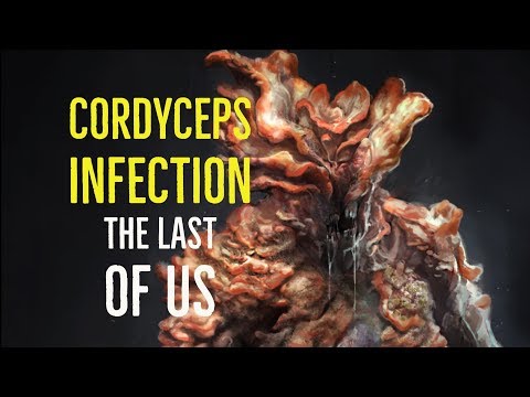 Cordyceps Infection (The Last of Us Explored)