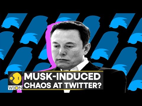 Twitter Chaos: Elon Musk's team seeks new investors for the social media platform | Latest | WION